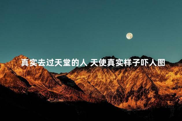 真实去过天堂的人 天使真实样子吓人图片